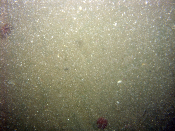 Image of seabed - photo.