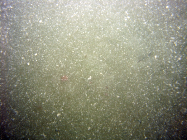 Image of seabed - photo.