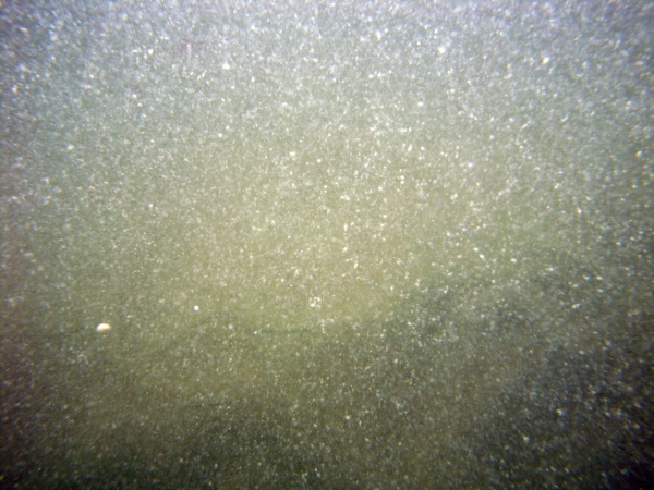 Image of seabed - photo.