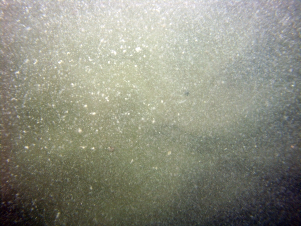 Image of seabed - photo.