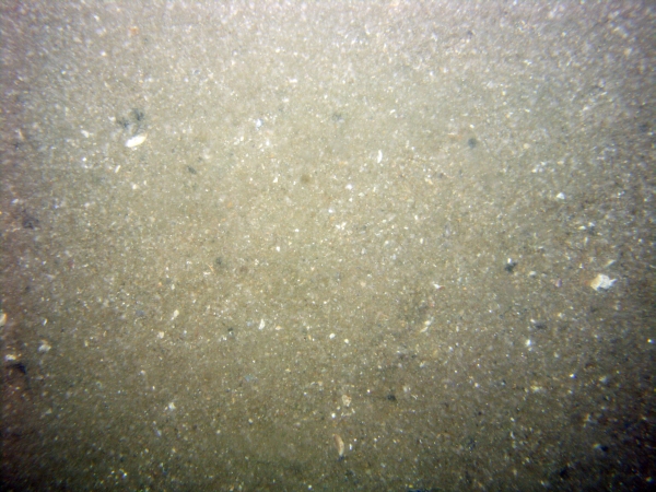 Image of seabed - photo.