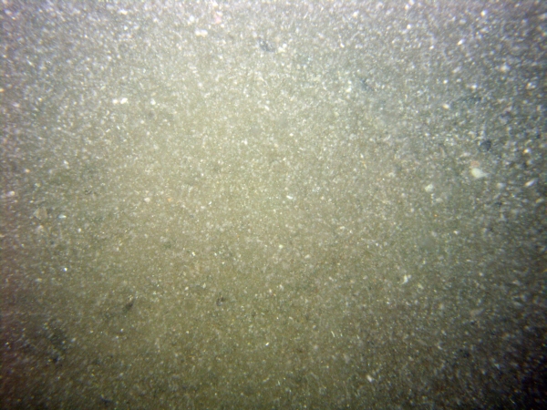 Image of seabed - photo.