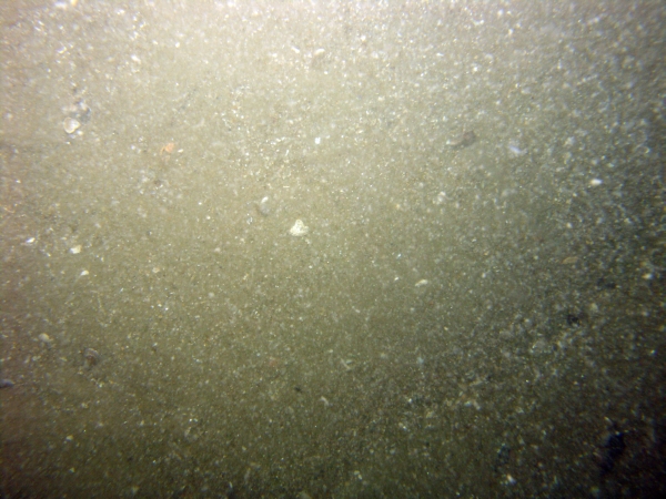 Image of seabed - photo.