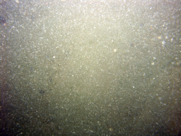 Image of seabed - photo.