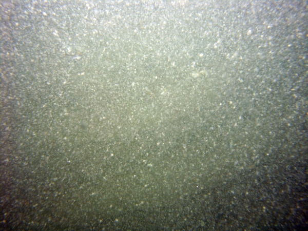 Image of seabed - photo.