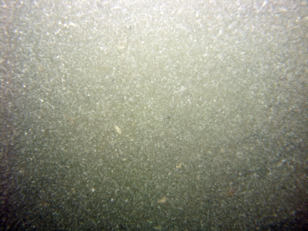 Image of seabed - photo.