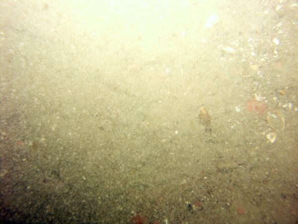 Image of seabed - photo.