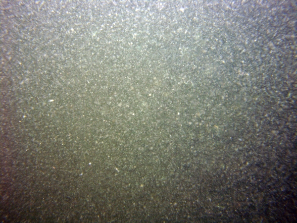 Image of seabed - photo.