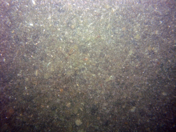 Image of seabed - photo.