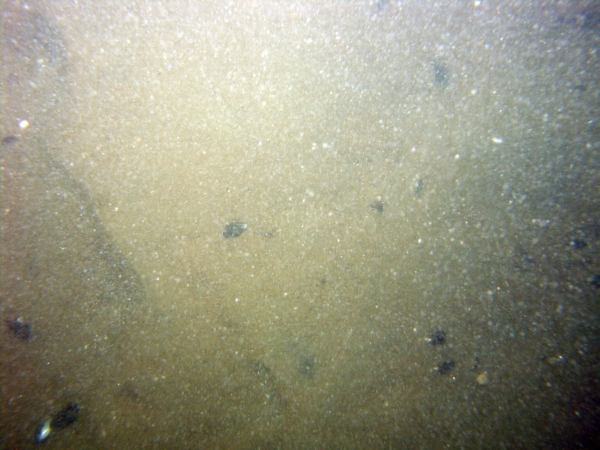 Image of seabed - photo.