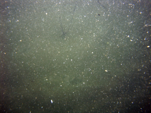 Image of seabed - photo.