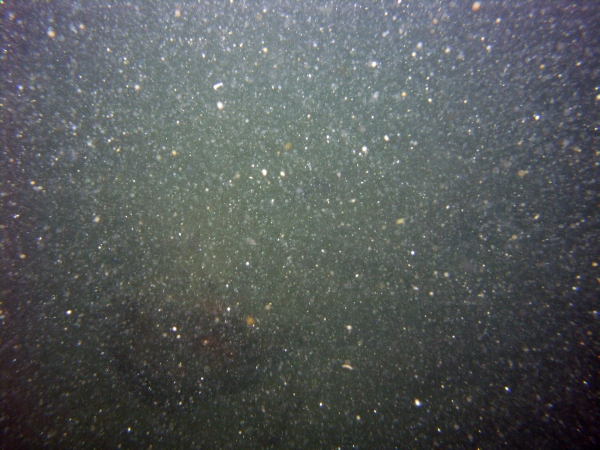 Image of seabed - photo.