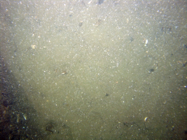 Image of seabed - photo.