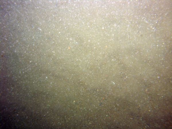 Image of seabed - photo.