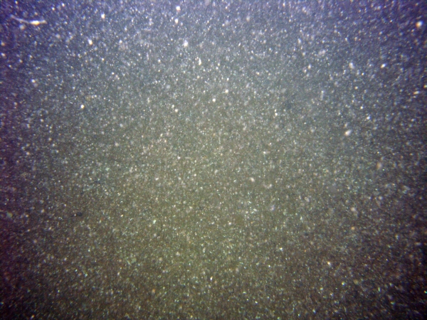 Image of seabed - photo.