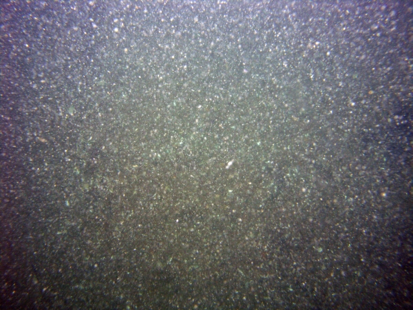 Image of seabed - photo.