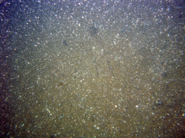 Image of seabed - photo.