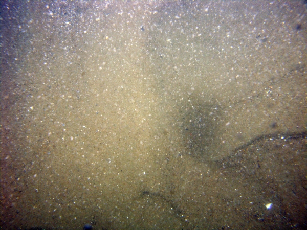 Image of seabed - photo.