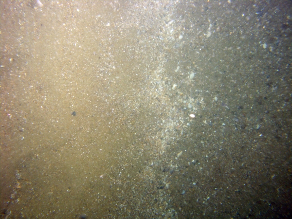 Image of seabed - photo.