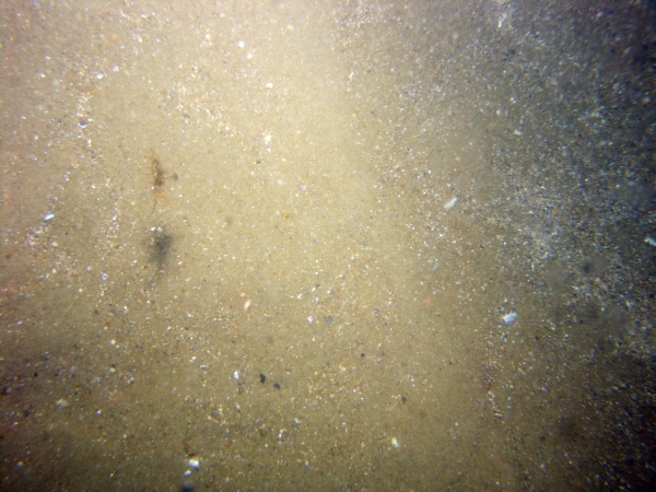 Image of seabed - photo.