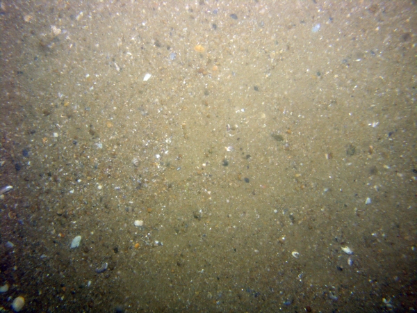 Image of seabed - photo.