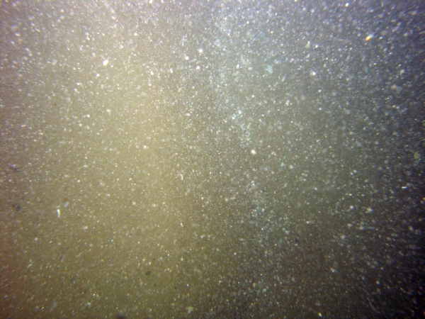 Image of seabed - photo.