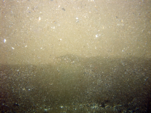 Image of seabed - photo.