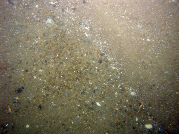 Image of seabed - photo.