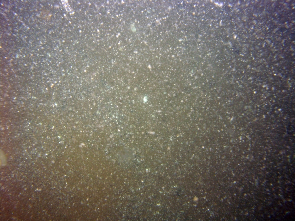 Image of seabed - photo.