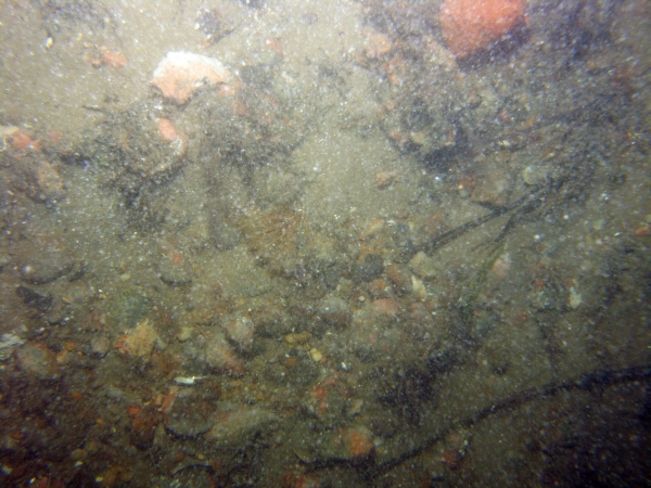 Image of seabed - photo.