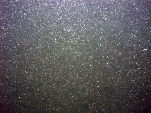 Image of seabed - photo.