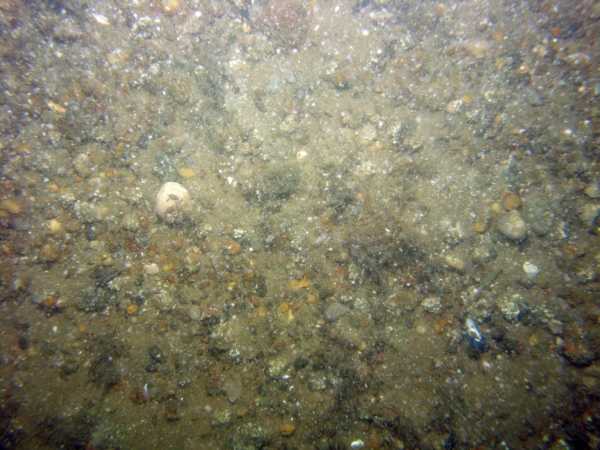 Image of seabed - photo.