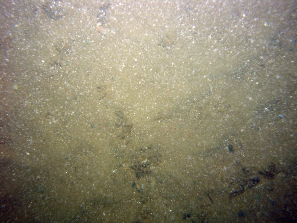 Image of seabed - photo.