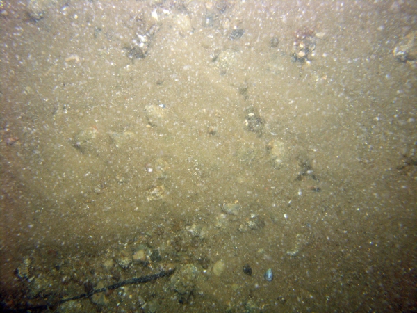 Image of seabed - photo.