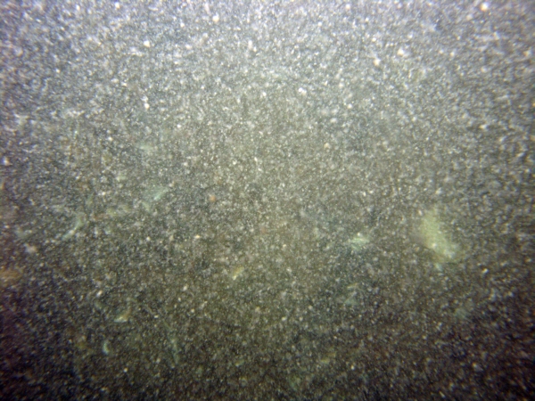 Image of seabed - photo.