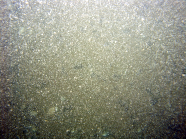 Image of seabed - photo.