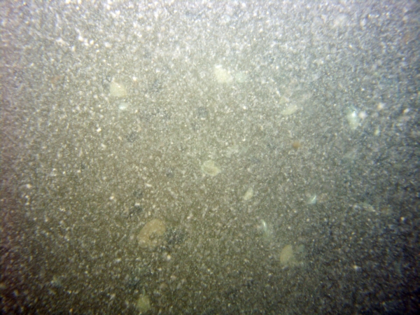 Image of seabed - photo.