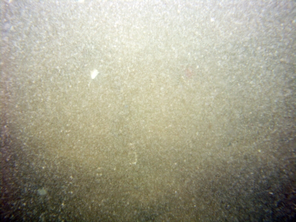 Image of seabed - photo.