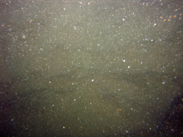 Image of seabed - photo.