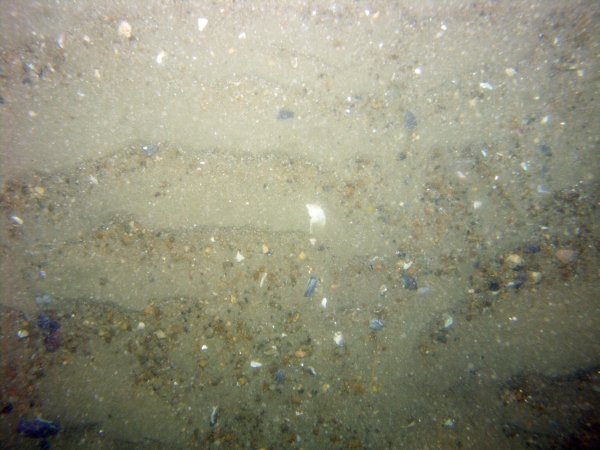 Image of seabed - photo.