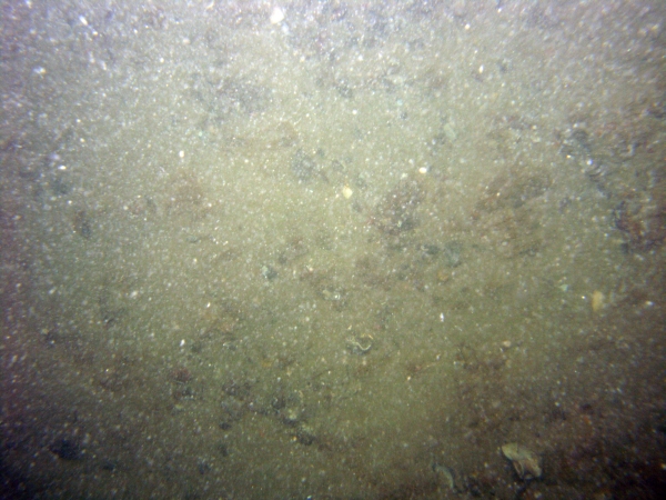 Image of seabed - photo.