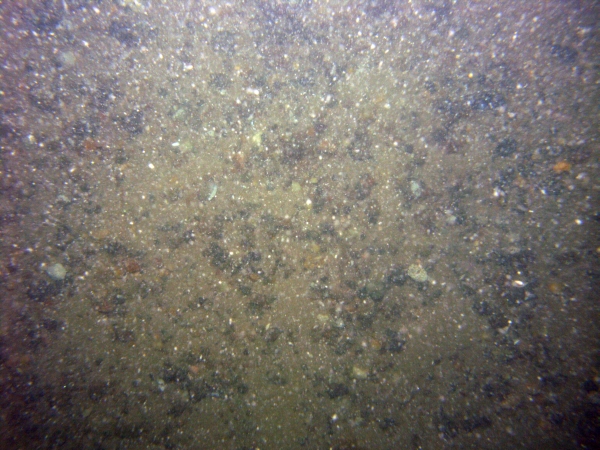 Image of seabed - photo.