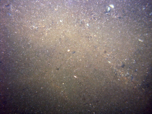 Image of seabed - photo.