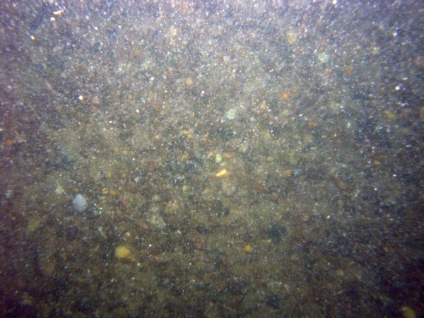 Image of seabed - photo.