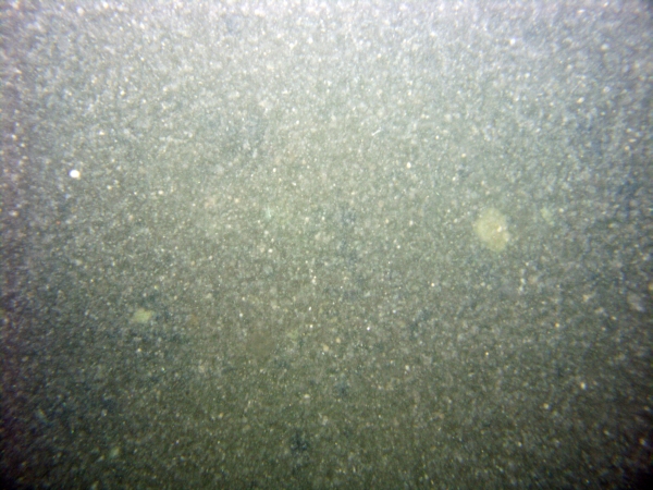 Image of seabed - photo.