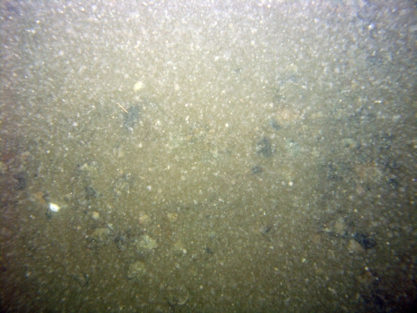 Image of seabed - photo.