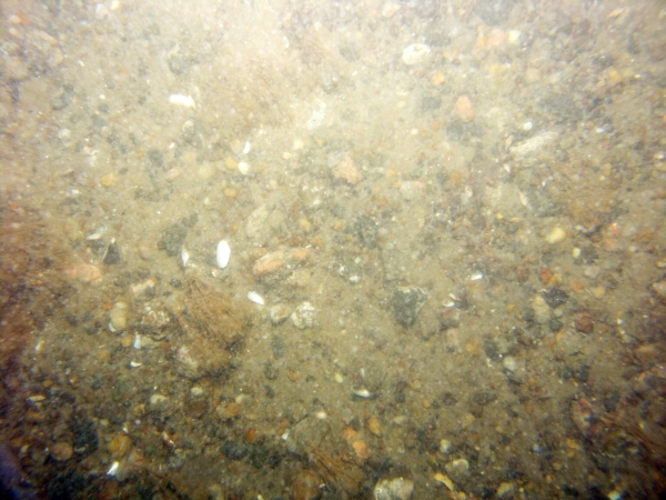 Image of seabed - photo.