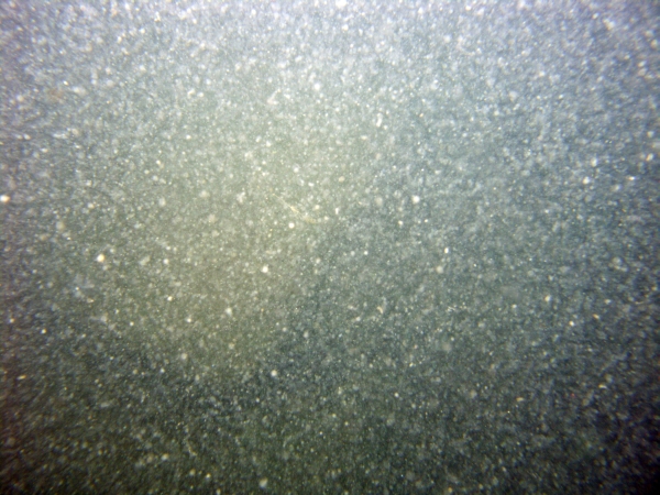 Image of seabed - photo.