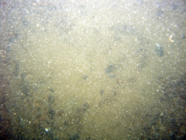 Image of seabed - photo.