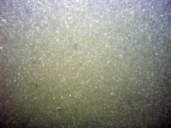 Image of seabed - photo.